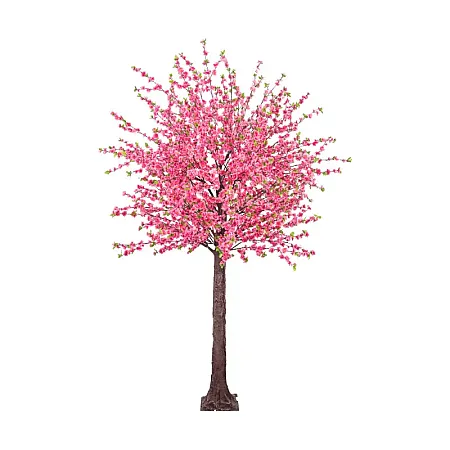 images/uploads/22229/thumb_22029 web.webp